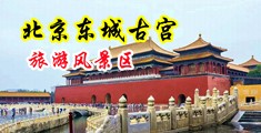 阴茎毛茸茸射精视频中国北京-东城古宫旅游风景区