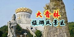 插入逼里高清无码免费视频中国浙江-绍兴大香林旅游风景区